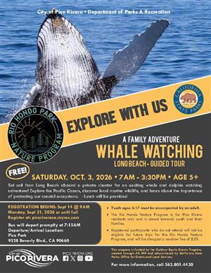 Whale Watching 