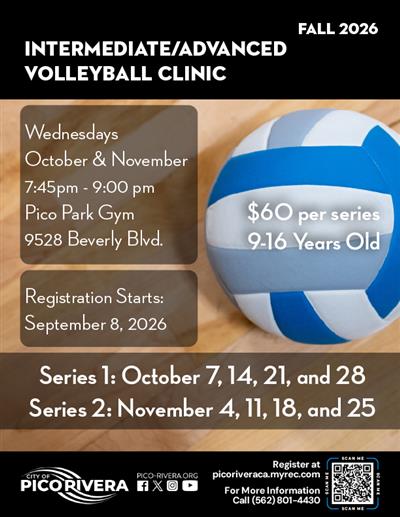 Volleyball