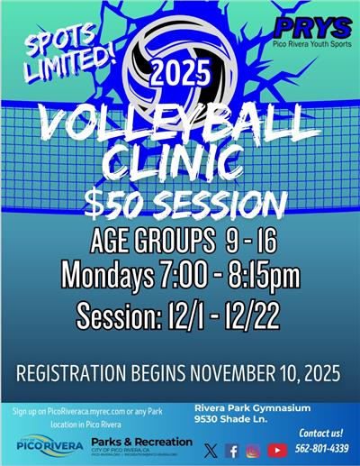 Vball Clinic December