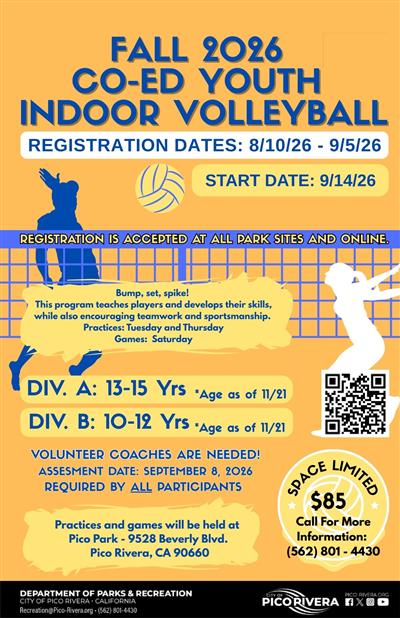 Volleyball Fall 26